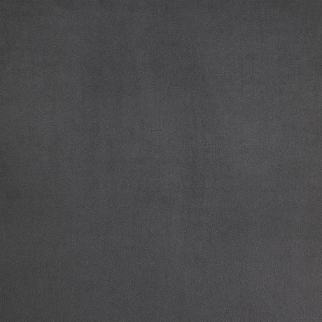 Zlatan Gray Side Chair (Set of 2) - Ornate Home