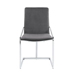 Zlatan Gray Side Chair (Set of 2) - Ornate Home