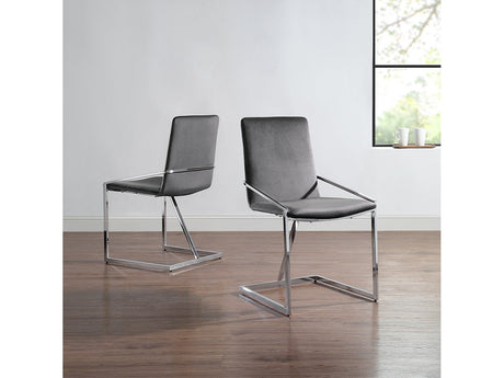 Zlatan Gray Side Chair (Set of 2) - Ornate Home