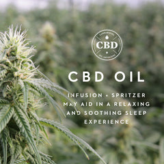 Zoned Dough Cbd Oil King Pillow - Ornate Home