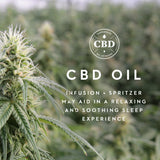Zoned Dough Cbd Oil Queen Pillow - Ornate Home