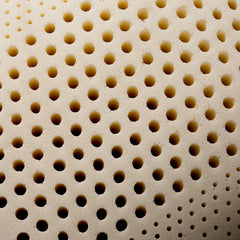 Zoned Talalay Latex White Queen High Loft - Plush Pillow - Ornate Home