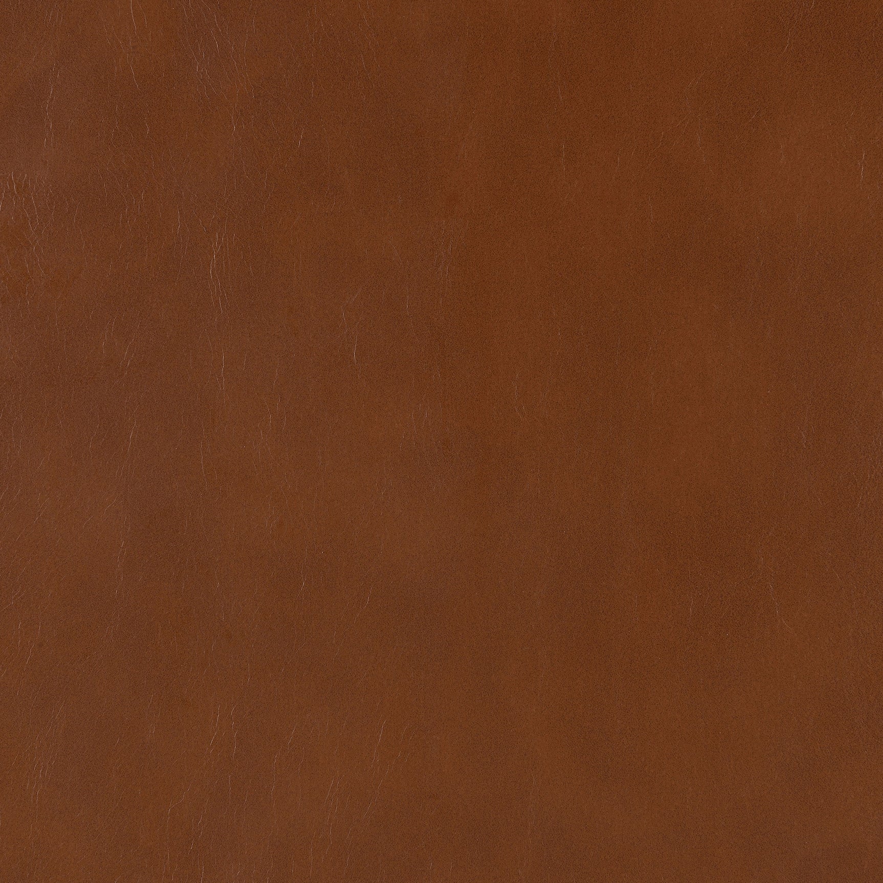 Zuni Saddle Bar Chair (Set of 2) - Ornate Home