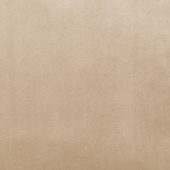 Zunyas Beige Accent Chair - Ornate Home
