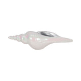 Hayesham Ivory/Tan/Silver Decor