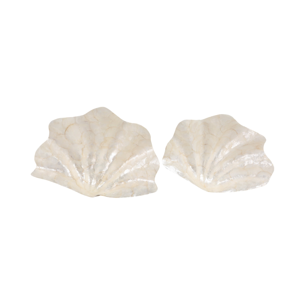 Ignacio Ivory Capiz Shell Shaped Bowls (Set of 2)