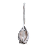 Fish Rock White Boat Driftwood with Cloth Saile