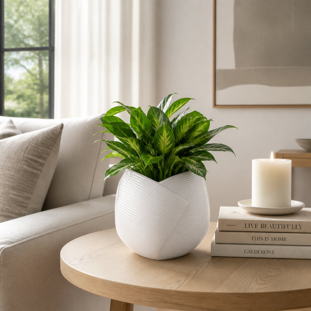 Linda White Abstract Planter