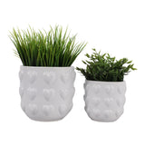 Draperoak White/Ivory Planters (Set of 2)