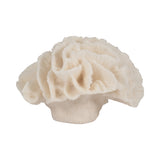 Brainard Ivory Petal Coral