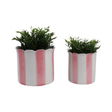 Rafeshaw Pink/White Planters (Set of 2)