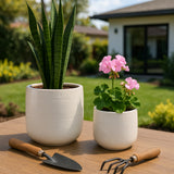 Peytonlake White Planters (Set of 2)