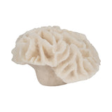 Brainard Ivory Petal Coral