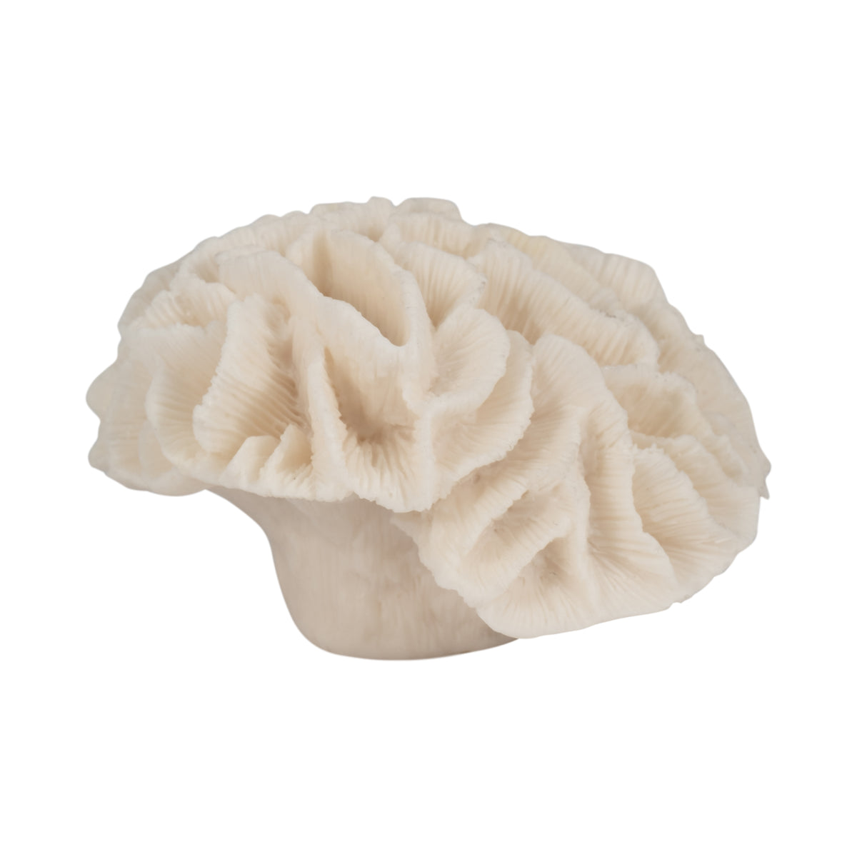 Brainard Ivory Petal Coral