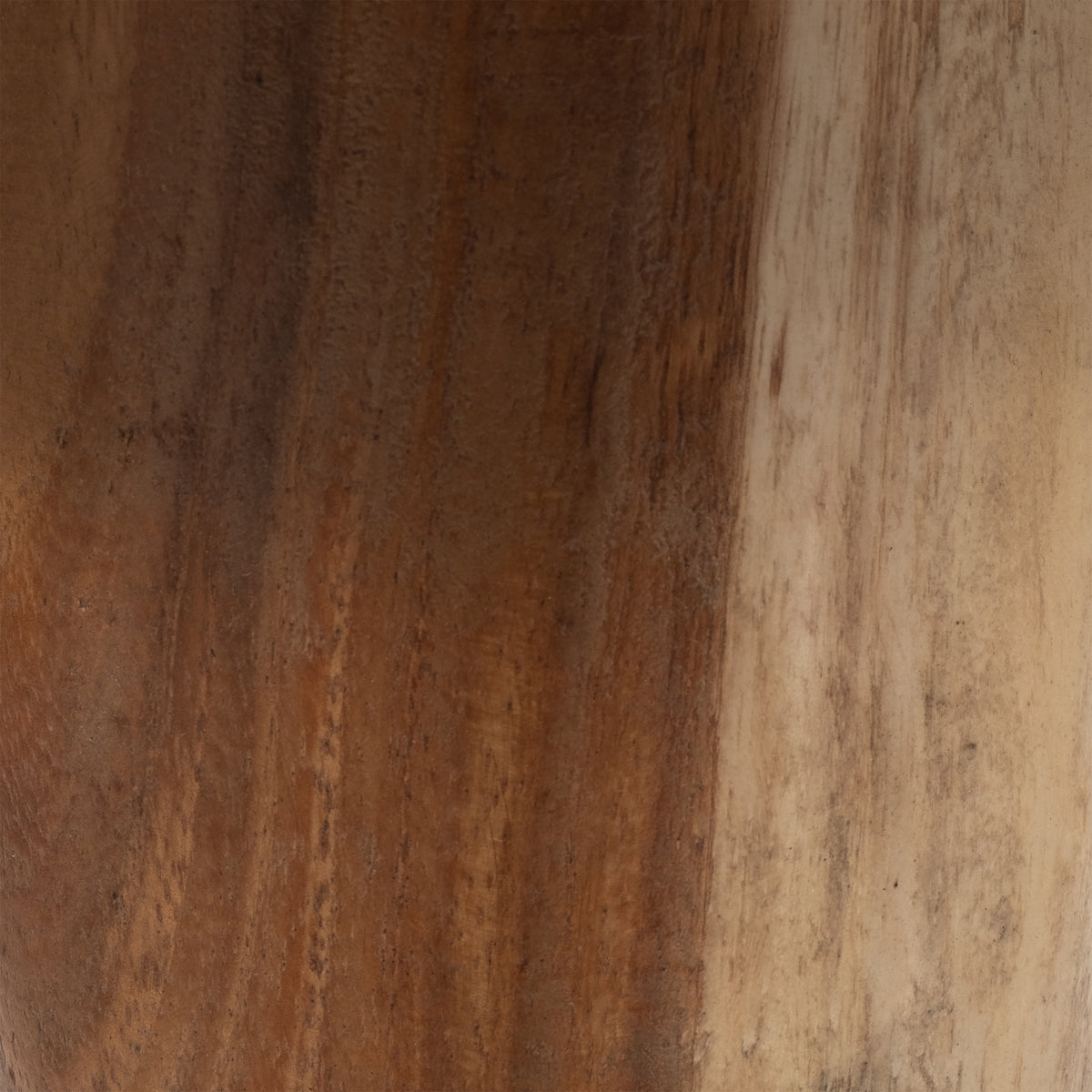 Hotlum Multicolor Petrified Wood Accent Table