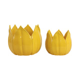 Gentrywind Yellow Planters (Set of 2)