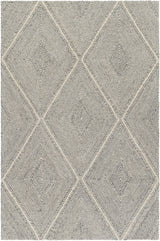 Amari Area Rug - Clearance