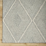 Amari Area Rug - Clearance
