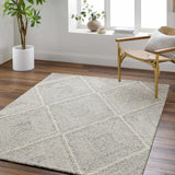Amari Area Rug - Clearance