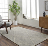 Amari Area Rug - Clearance
