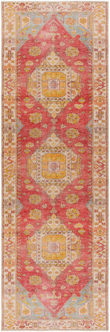 Anopog Washable Area Rug - Clearance