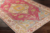 Anopog Washable Area Rug - Clearance