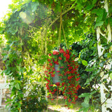 30" UV Resistant Artificial Daisy Hanging Plant (Indoor/Outdoor) - Set of 6