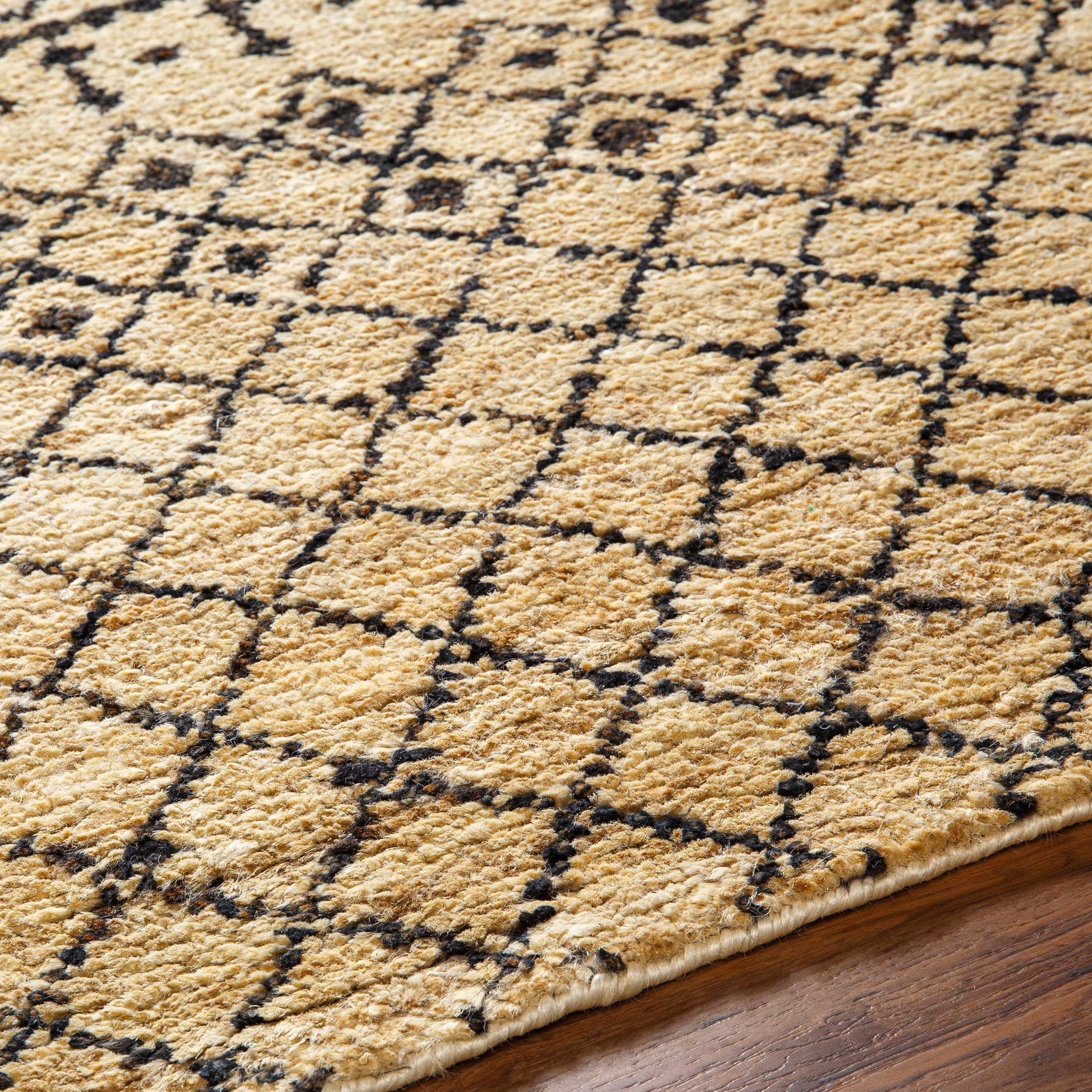 Aziza Area Rug - Clearance