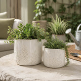 El Adobe Ivory Embossed Vines Planters (Set of 2)