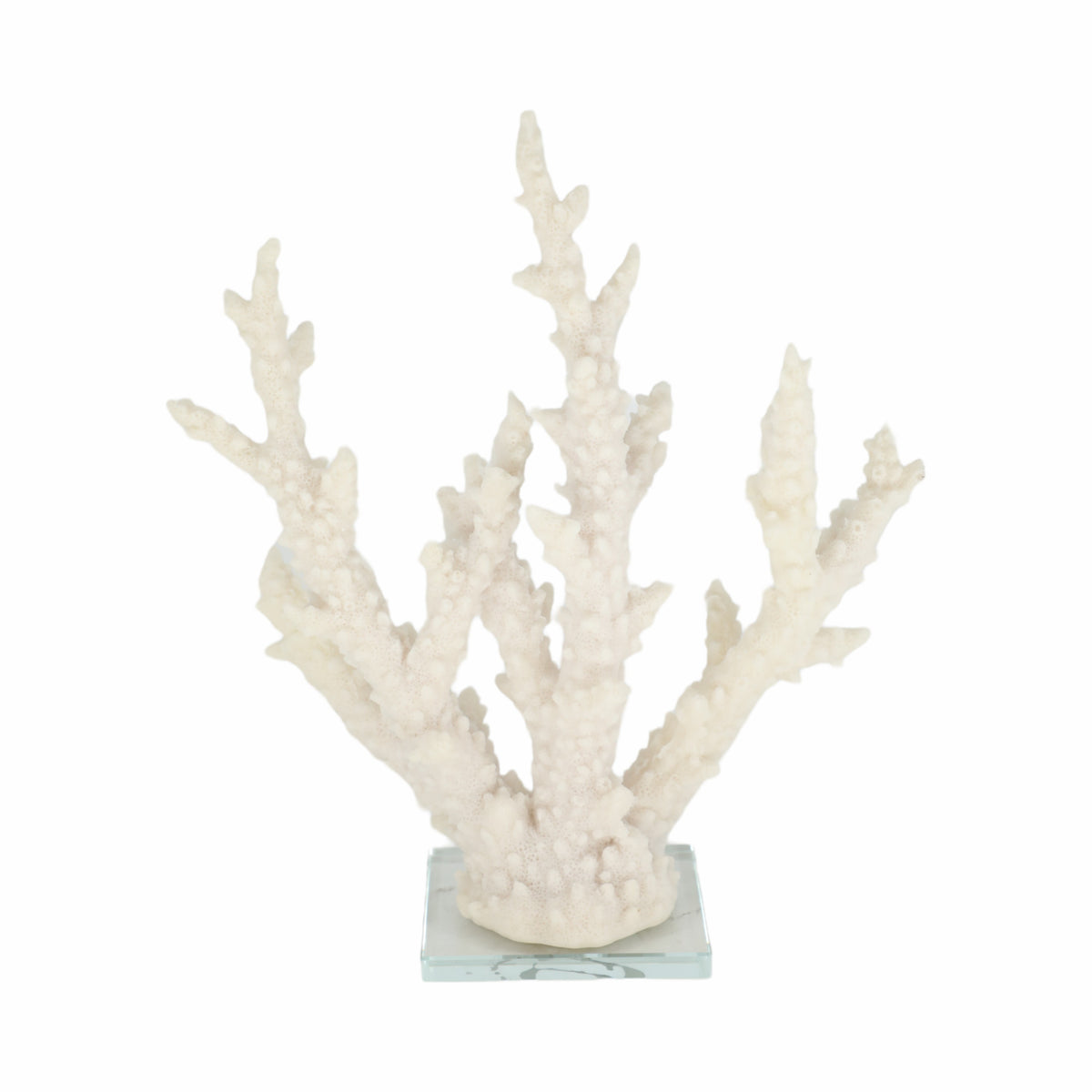 Slaterview White Branching Coral on Glass Base