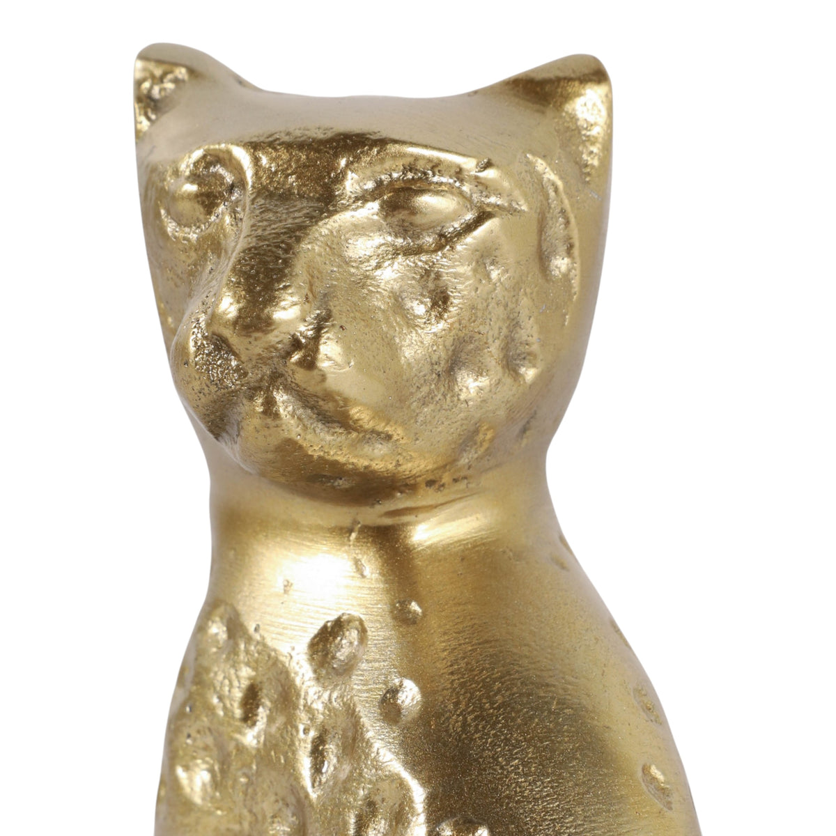 Azusa Gold Metal Leopard