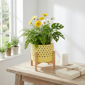 Newcastle Yellow Medium Dotted Planter with Wood Stand