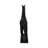 Hintonley Black Decor