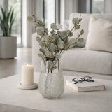 Hollis Clear Glass Sugar Vase