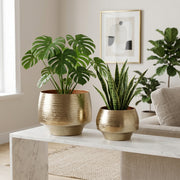 Charter Oak Gold Textured Curved Metal Planters (Set of 2)