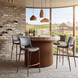 Ace Dark Gray & Walnut Barstool (Set of 2)