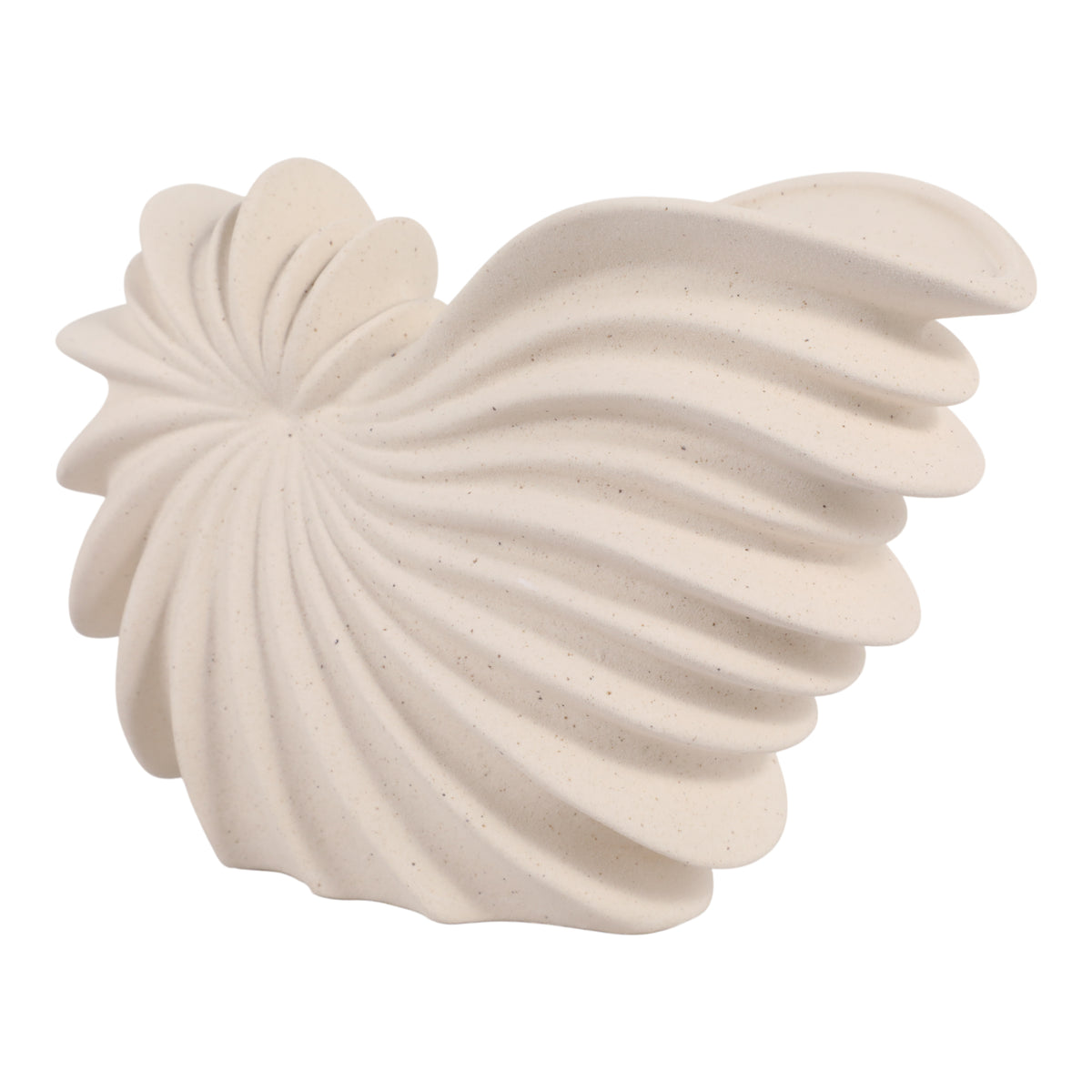 Amesti White Ribbed Shell