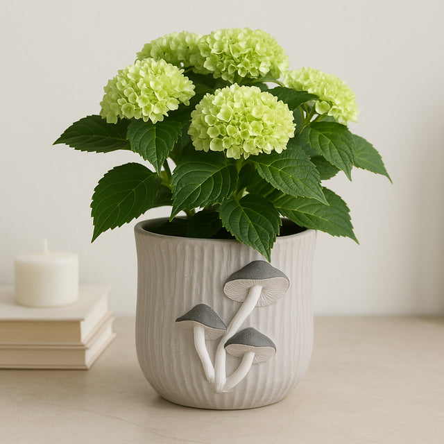 Bricemore Gray Mushroom Applique Planter