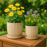 Leonaham Ivory Planters (Set of 2)