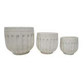 Garvanza White Ribbed Planters (Set of 3)