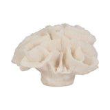 Brainard Ivory Petal Coral