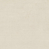 Barree Area Carpet - Clearance