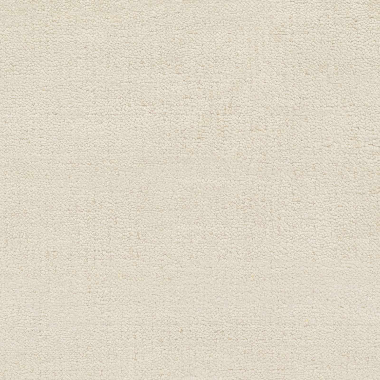 Barree Area Carpet - Clearance