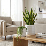 Nicolemoor White Planters (Set of 2)