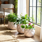 Hazenshaw White Planters (Set of 3)