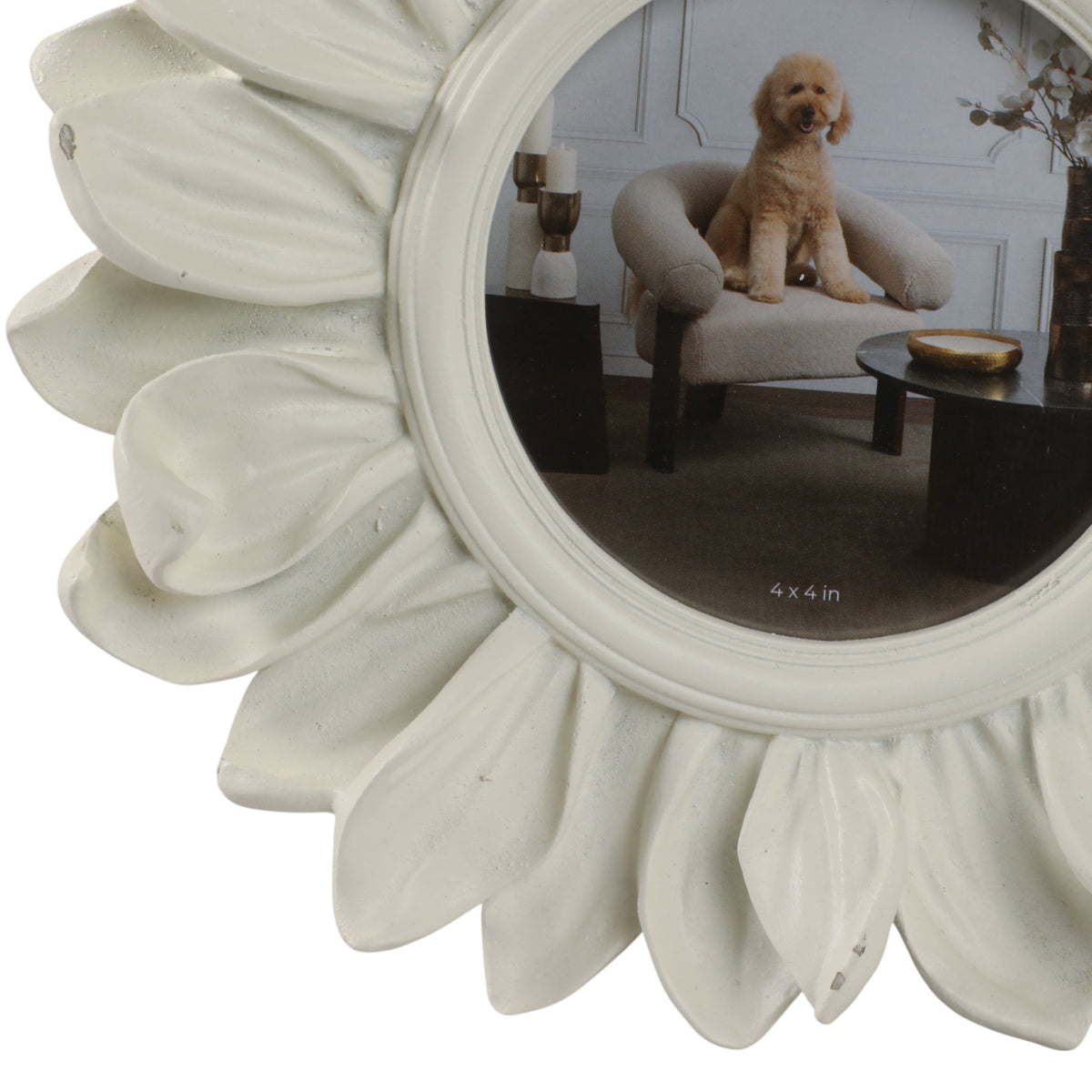 Tarabeach Ivory Frame