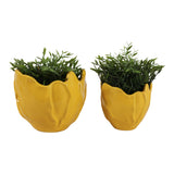 Drydenrun Yellow Planters (Set of 2)