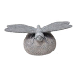 Thurin Gray Drangonfly on Stone