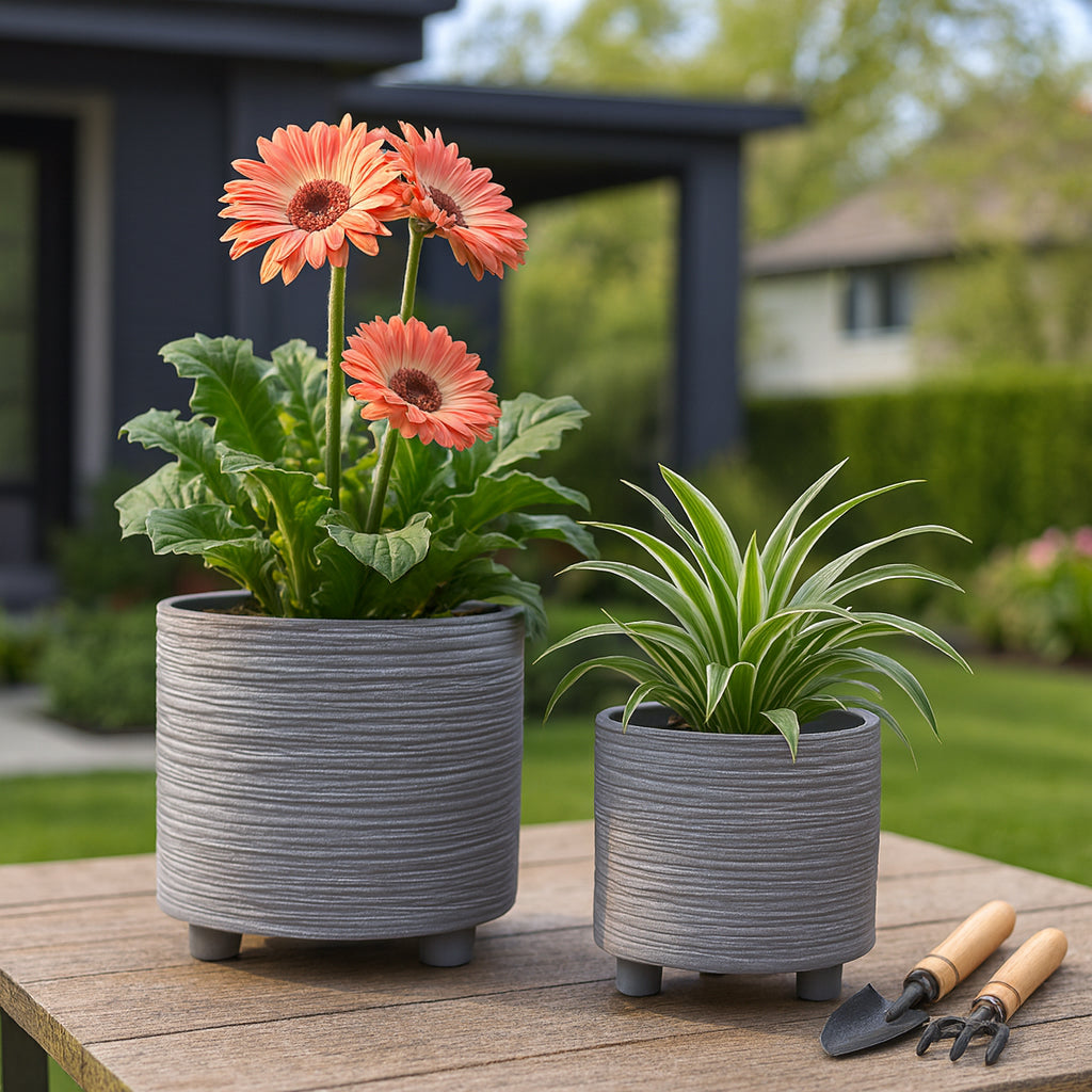 Polk Gray Footed Planters with Lines (Set of 2)