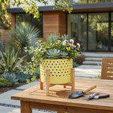 Newcastle Yellow Medium Dotted Planter with Wood Stand